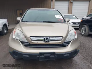 2009 Honda CR-V EX-L with VIN 5J6RE38729L008943, listed as a IAAI auction lot 41969393 with 235,477 mi miles. Bid and sale history available at carsss.com. Image 6.