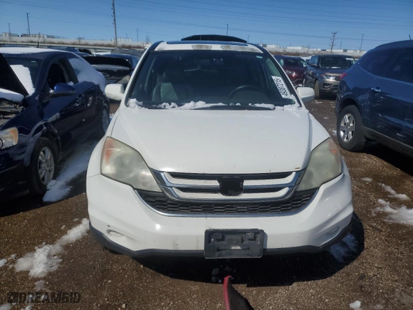 2010 Honda CR-V EX-L with VIN 5J6RE4H70AL032975, listed as a Copart auction lot 49387215 with 384,400 mi miles and Salvage Title. Bid and sale history available at carsss.com. Image 5.