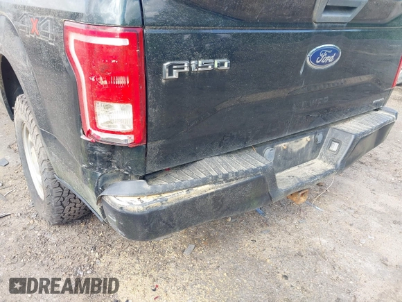 2016 Ford F-150 XLT with VIN 1FTFX1EF1GFC16231, listed as a IAAI auction lot 41947437 with 144,052 mi miles and . Bid and sale history available at DreamBid. Image 18.