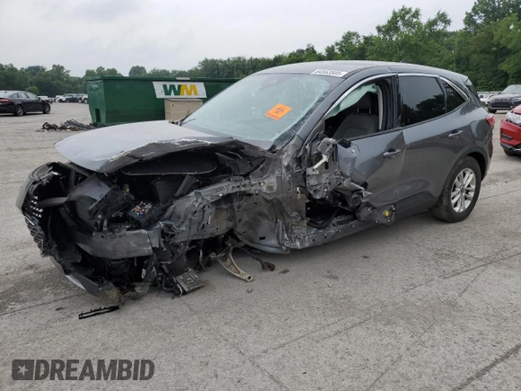 2021 Ford Escape SE with VIN 1FMCU9G68MUA36206, listed as a Copart auction lot 64563505 with Not provided miles and Salvage title. Bid and sale history available at DreamBid. Image 1.