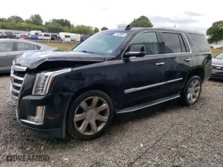 2016 Cadillac Escalade Luxury Collection with VIN 1GYS4BKJ2GR416047, listed as a Copart auction lot 71439884 with 101,118 mi miles and Salvage Title. Bid and sale history available at carsss.com. Image 1.