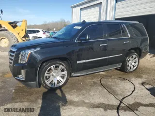2016 Cadillac Escalade Luxury Collection with VIN 1GYS3BKJ1GR133271, listed as a Copart auction lot 49249835 with 84,173 mi miles and Salvage Title. Bid and sale history available at carsss.com. Image 1.