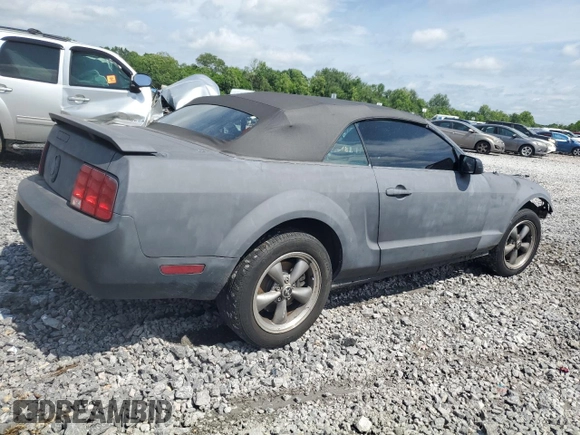 2006 Ford Mustang Standard with VIN 1ZVFT84N865126752, listed as a Copart auction lot 57160965 with Not provided miles and Salvage title. Bid and sale history available at DreamBid. Image 3.
