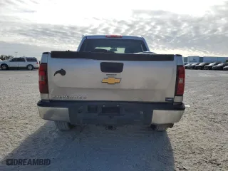 2009 Chevrolet Silverado 1500 LS with VIN 2GCEC13C391140750, listed as a Copart auction lot 89070065 with 170,957 mi miles and Salvage Title. Bid and sale history available at carsss.com. Image 6.