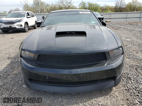 2010 Ford Mustang GT with VIN 1ZVBP8CH8A5119369, listed as a Copart auction lot 53028195 with 132,124 mi miles and Salvage Title. Bid and sale history available at carsss.com. Image 5.