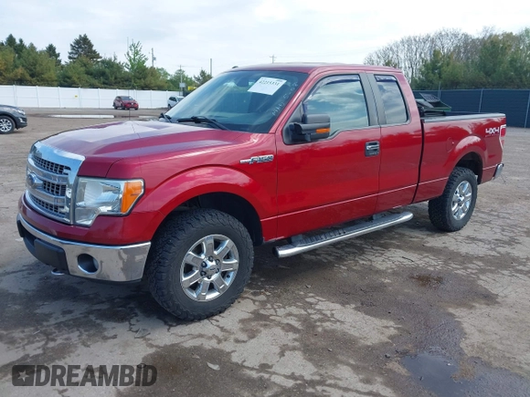 2014 Ford F-150 XL with VIN 1FTFX1EFXEFC28469, listed as a IAAI auction lot 42215331 with 198,139 mi miles and . Bid and sale history available at DreamBid. Image 17.