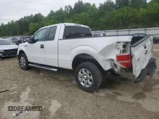 2013 Ford F-150 XL z VIN 1FTEX1CM3DFA39318, wystawiony jako Copart lot #56255635 z przebiegiem 284 281 mil mil oraz Szkoda całkowita • Salvage title. Historia ofert i sprzedaży dostępna na DreamBid. Obrazek 2.