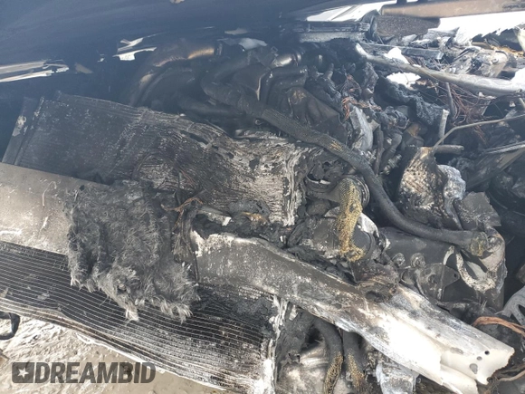 2014 Mercedes-Benz S 550 with VIN WDDUG8FB6EA056374, listed as a Copart auction lot 49213925 with Not provided miles and Salvage title. Bid and sale history available at DreamBid. Image 11.