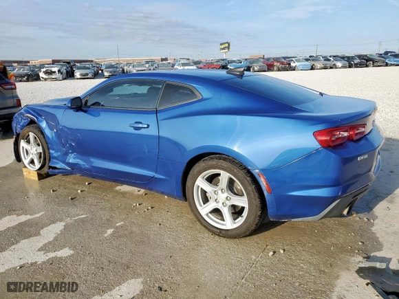 2019 Chevrolet Camaro 1LT with VIN 1G1FB1RS9K0136654, listed as a Copart auction lot 48824565 with 117,204 mi miles and Salvage Title. Bid and sale history available at carsss.com. Image 2.