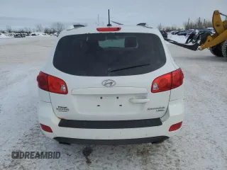 2009 Hyundai Santa Fe GL with VIN 5NMSG13E99H318861, listed as a Copart auction lot 46081195 with 294,793 mi miles and Clean title. Bid and sale history available at DreamBid. Image 6.