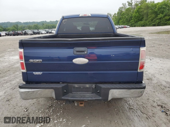 2011 Ford F-150 XL with VIN 1FTFX1ET2BFC30346, listed as a Copart auction lot 59801175 with 215,924 mi miles and Salvage title. Bid and sale history available at DreamBid. Image 6.