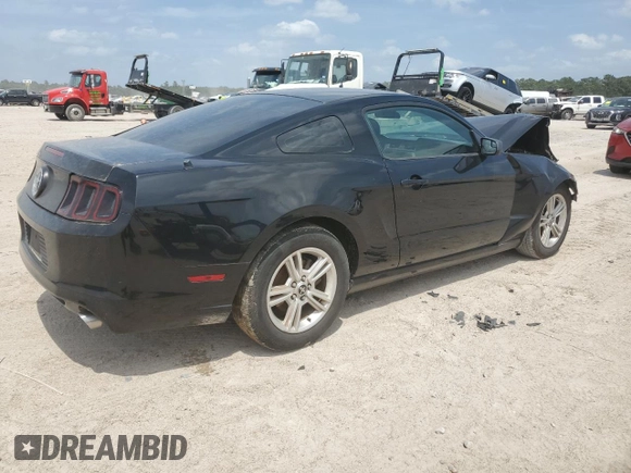 2013 Ford Mustang V6 with VIN 1ZVBP8AM7D5276010, listed as a Copart auction lot 53842395 with 0 mi miles and Clean Title. Bid and sale history available at carsss.com. Image 3.