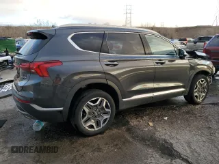 2021 Hyundai Santa Fe Limited with VIN 5NMS4DAL0MH315822, listed as a Copart auction lot 87260094 with 30,253 mi miles and Salvage Title. Bid and sale history available at carsss.com. Image 3.