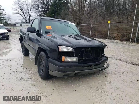 2003 Chevrolet Silverado 1500 LS with VIN 1GCEK14T73Z202568, listed as a Copart auction lot 84091234 with Not Provided miles and Salvage Title. Bid and sale history available at DreamBid. Image 10.