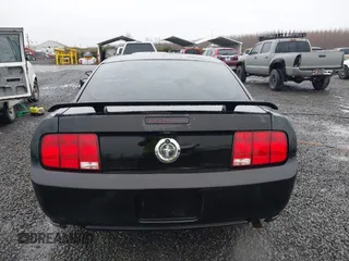 2006 Ford Mustang Standard with VIN 1ZVFT80N565161531, listed as a IAAI auction lot 41097766 with 149,250 mi miles and . Bid and sale history available at DreamBid. Image 16.