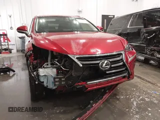 2016 Lexus NX 200t with VIN JTJYARBZ0G2049713, listed as a IAAI auction lot 41922296 with 132,526 mi miles. Bid and sale history available at carsss.com. Image 6.