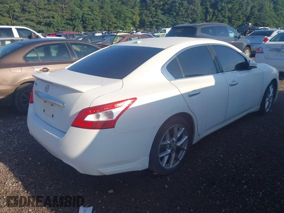 2010 Nissan Maxima SV with VIN 1N4AA5AP4AC805225, listed as a IAAI auction lot 42517791 with 204,247 mi miles and . Bid and sale history available at DreamBid. Image 4.
