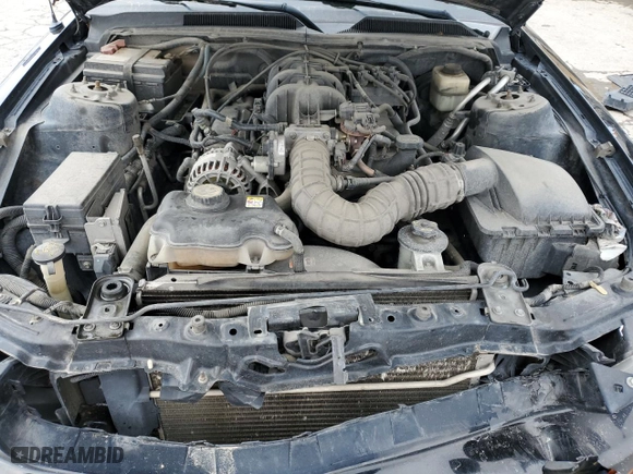 2008 Ford Mustang Deluxe with VIN 1ZVHT80N685109353, listed as a Copart auction lot 49085195 with 250,548 mi miles and Salvage Title. Bid and sale history available at carsss.com. Image 11.
