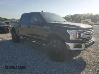 2019 Ford F-150 XL with VIN 1FTEW1C55KFA66206, listed as a Copart auction lot 55290485 with 115,808 mi miles and Clean Title. Bid and sale history available at DreamBid. Image 4.