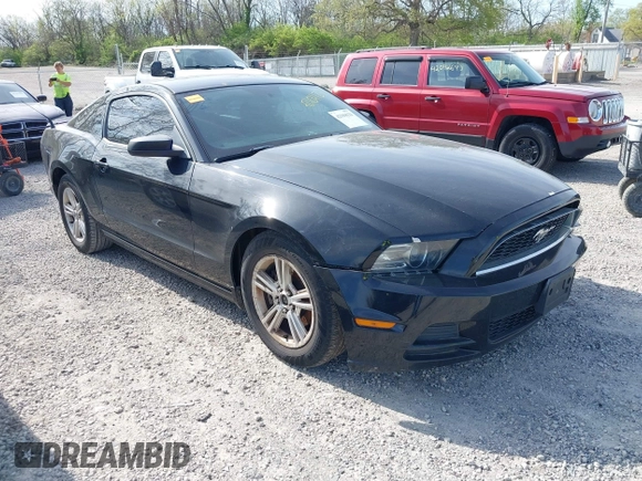 2013 Ford Mustang V6 with VIN 1ZVBP8AM7D5203672, listed as a IAAI auction lot 42104121 with 215,815 mi miles. Bid and sale history available at carsss.com. Image 1.