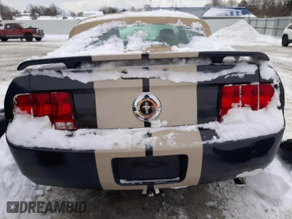 2009 Ford Mustang with VIN 1ZVHT84N395121827, listed as a Copart auction lot 41651645 with 117,203 mi miles and Clean title. Bid and sale history available at DreamBid. Image 6.