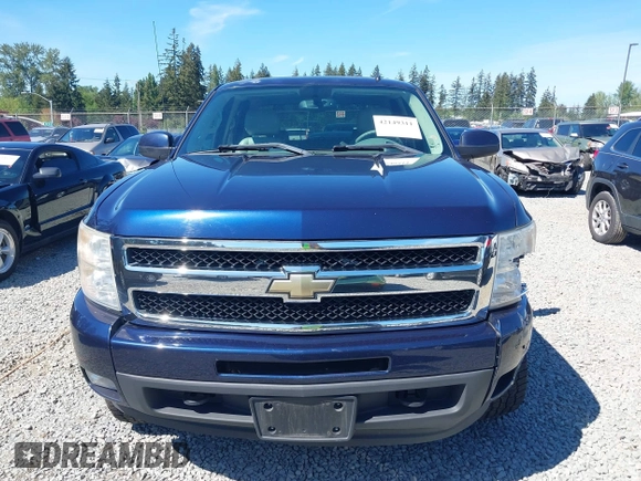 2009 Chevrolet Silverado 1500 with VIN 2GCEK33M391136270, listed as a IAAI auction lot 42149311 with 143,094 mi miles and . Bid and sale history available at DreamBid. Image 12.