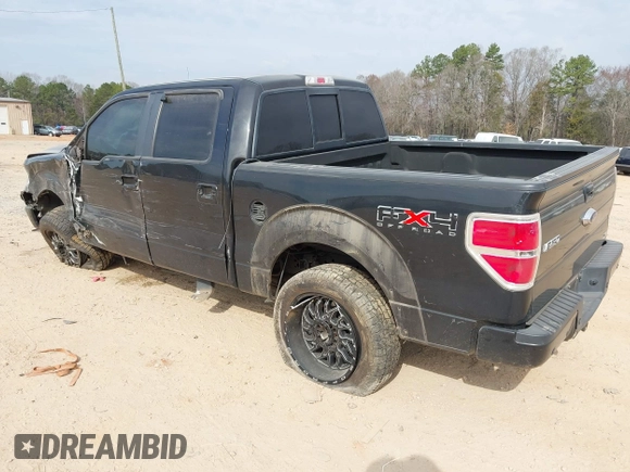 2010 Ford F-150 XL with VIN 1FTFW1EV1AFB76878, listed as a IAAI auction lot 41655373 with 193,064 mi miles. Bid and sale history available at carsss.com. Image 3.