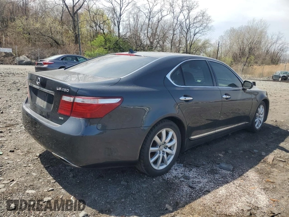 2009 Lexus LS 460 with VIN JTHCL46F695002146, listed as a Copart auction lot 53454775 with Not Provided miles and Salvage Title. Bid and sale history available at DreamBid. Image 3.