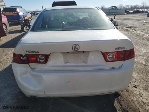 2004 Acura TSX with VIN JH4CL96804C041074, listed as a Copart auction lot 46800135 with 215,103 mi miles and Salvage Title. Bid and sale history available at carsss.com. Image 6.