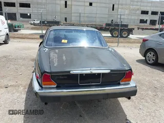 1982 Jaguar XJ with VIN SAJAV1248CC341050, listed as a IAAI auction lot 42653594 with Not provided miles and . Bid and sale history available at DreamBid. Image 16.