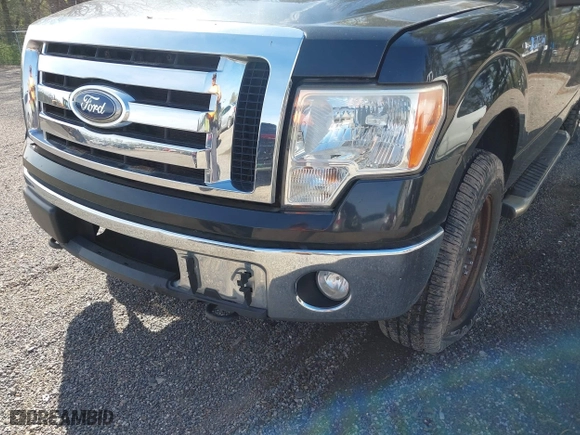 2011 Ford F-150 XL with VIN 1FTFX1EF1BFA36935, listed as a IAAI auction lot 42084512 with 200,000 mi miles. Bid and sale history available at carsss.com. Image 6.