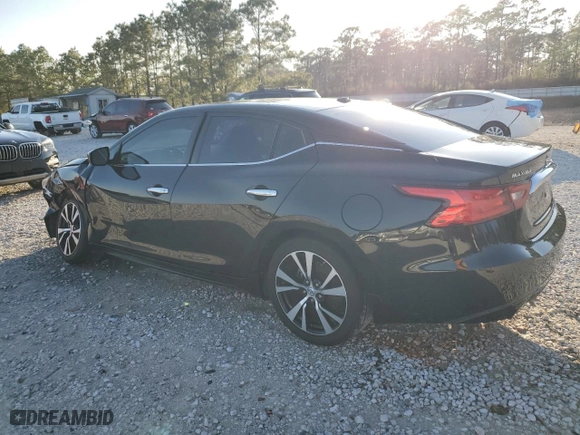 2017 Nissan Maxima SV with VIN 1N4AA6AP5HC441932, listed as a Copart auction lot 46042225 with 113,895 mi miles and Clean Title. Bid and sale history available at carsss.com. Image 2.