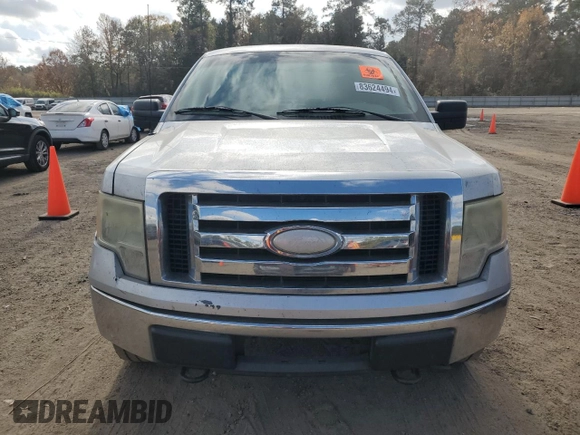 2009 Ford F-150 XL with VIN 1FTPX14V49KC15906, listed as a Copart auction lot 83624494 with 264,979 mi miles and Salvage Title. Bid and sale history available at carsss.com. Image 5.