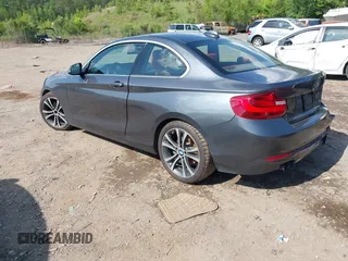 2014 BMW 2 Series 228i with VIN WBA1F5C59EV246205, listed as a IAAI auction lot 42219390 with 142,532 mi miles and . Bid and sale history available at DreamBid. Image 3.