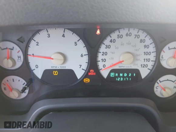 2008 Dodge 1500 ST with VIN 1D7HA16K08J195026, listed as a IAAI auction lot 41185748 with 123,171 mi miles and . Bid and sale history available at DreamBid. Image 7.