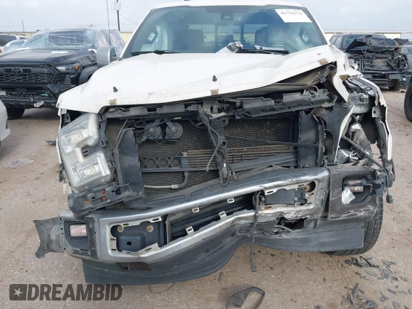 2017 Ford F-150 XL with VIN 1FTEW1EG0HFB70948, listed as a IAAI auction lot 41753174 with 217,677 mi miles. Bid and sale history available at carsss.com. Image 12.