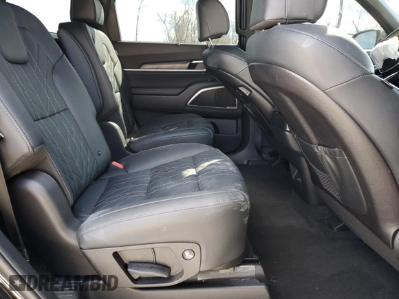 2024 Kia Telluride EX X-Line z VIN 5XYP3DGCXRG541965, wystawiony jako Copart lot #50863405 z przebiegiem 12 496 mil mil oraz Szkoda całkowita • Salvage title. Historia ofert i sprzedaży dostępna na DreamBid. Obrazek 11.