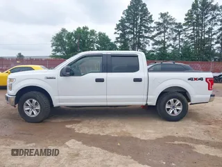 2017 Ford F-150 XL с VIN 1FTEW1EF6HFC35972, выставлен на аукционе IAAI как лот 42098293 с пробегом 218 205 миль миль и . История ставок и продаж доступна на DreamBid. Изображение 14.