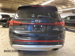 2021 Hyundai Santa Fe Calligraphy with VIN 5NMS5DAL5MH323833, listed as a Copart auction lot 41337795 with 54,484 mi miles and Salvage title. Bid and sale history available at DreamBid. Image 6.