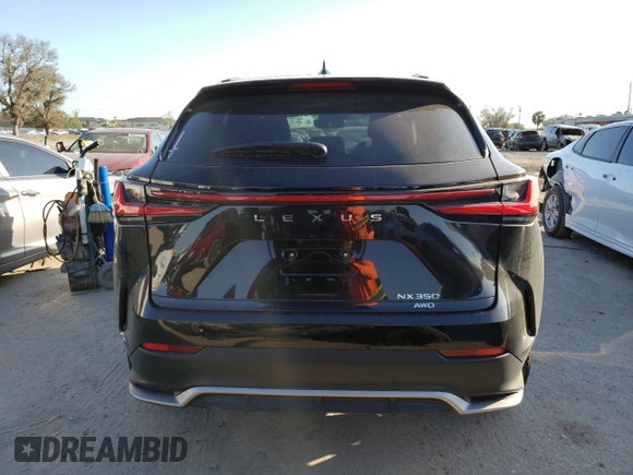 2022 Lexus NX with VIN 2T2KGCEZ9NC009611, listed as a Copart auction lot 38765473 with 109 mi miles. Bid and sale history available at carsss.com. Image 6.