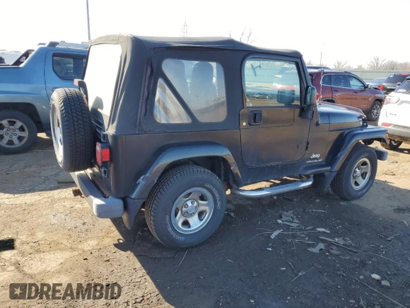 2003 Jeep Wrangler X with VIN 1J4FA39S33P357059, listed as a Copart auction lot 48983315 with 166,532 mi miles and Salvage title. Bid and sale history available at DreamBid. Image 3.