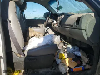 2011 Chevrolet Silverado 1500 Work Truck with VIN 1GCNKPEA3BZ299914, listed as a Copart auction lot 49901405 with 0 mi miles and Salvage Title. Bid and sale history available at carsss.com. Image 10.