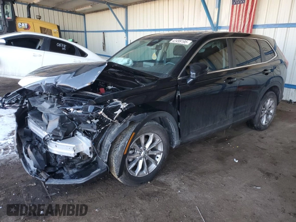 2025 Honda CR-V EX with VIN 2HKRS4H43SH411186, listed as a Copart auction lot 42499195 with Not Provided miles and Salvage Title. Bid and sale history available at DreamBid. Image 1.