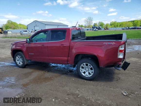 2019 Chevrolet Colorado 4WD LT with VIN 1GCGTCEN9K1316389, listed as a Copart auction lot 56095715 with 96,237 mi miles and Salvage title. Bid and sale history available at DreamBid. Image 2.
