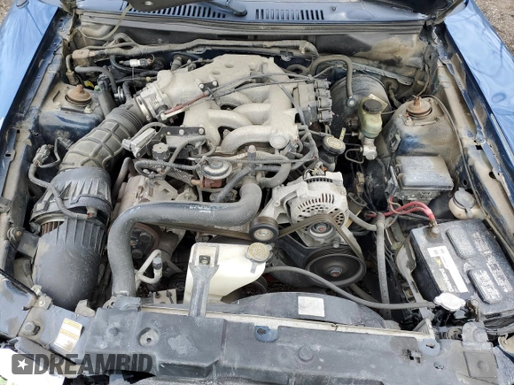 2000 Ford Mustang with VIN 1FAFP4442YF213444, listed as a Copart auction lot 51040875 with 124,925 mi miles and Salvage Title. Bid and sale history available at carsss.com. Image 11.