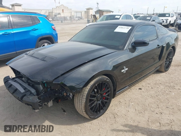 2010 Ford Mustang GT500 with VIN 1ZVBP8JS9A5130203, listed as a IAAI auction lot 42064720 with 32,461 mi miles. Bid and sale history available at carsss.com. Image 19.