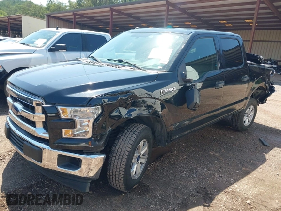 2017 Ford F-150 XL with VIN 1FTEW1C80HKD11438, listed as a IAAI auction lot 42269102 with 195,119 mi miles and . Bid and sale history available at DreamBid. Image 17.