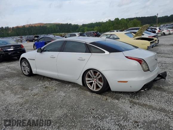 2016 Jaguar XJ Portfolio with VIN SAJWA2G72G8V91810, listed as a Copart auction lot 55269305 with Not Provided miles and Clean Title. Bid and sale history available at DreamBid. Image 2.
