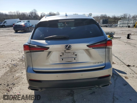 2018 Lexus NX 300 with VIN JTJBARBZ8J2164783, listed as a Copart auction lot 50224135 with 53,729 mi miles and Salvage title. Bid and sale history available at DreamBid. Image 6.