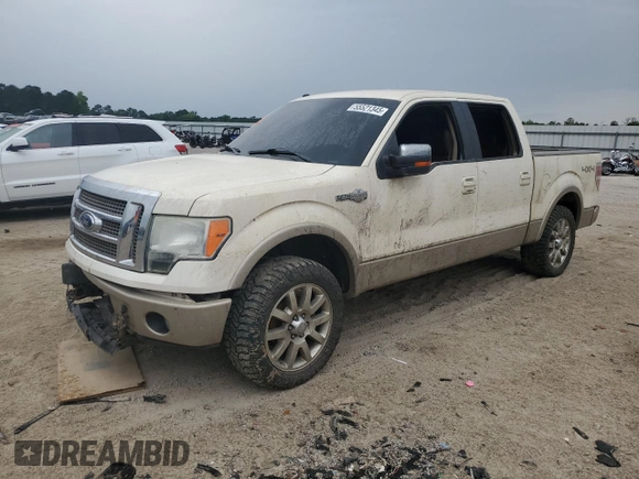 2009 Ford F-150 XL z VIN 1FTPW14V19KB33070, wystawiony jako Copart lot #55521345 z przebiegiem Nie podano mil oraz Szkoda całkowita • Salvage title. Historia ofert i sprzedaży dostępna na DreamBid. Obrazek 1.